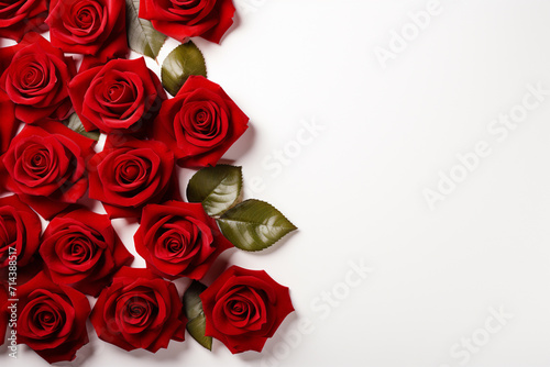 Red roses on white background  valentine s day concept.