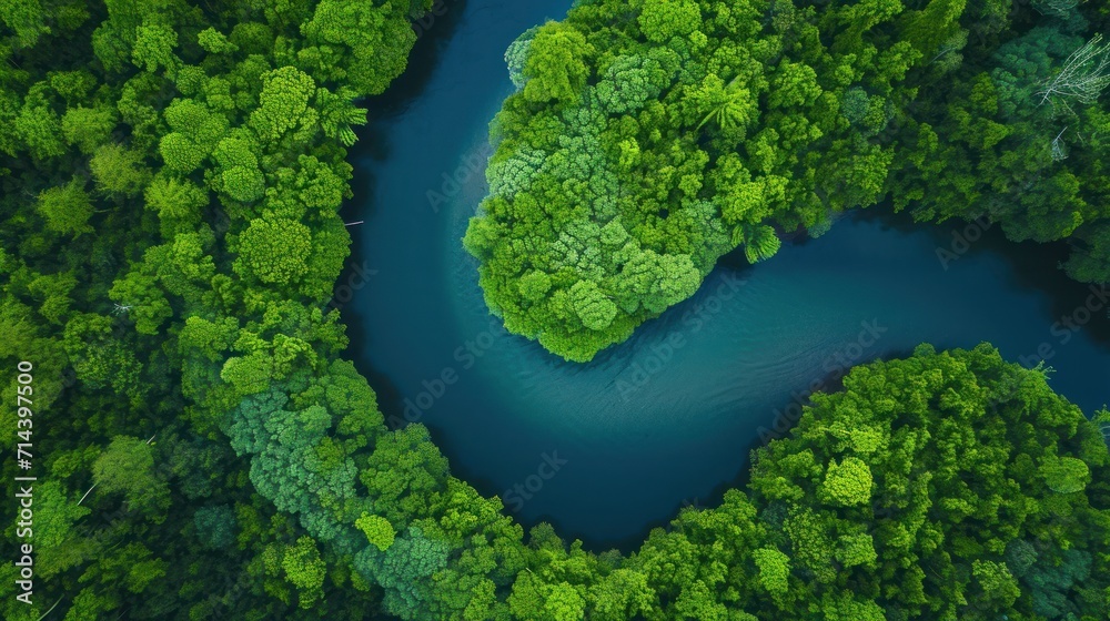  an aerial view of a river in the middle of a forest with lots of trees on either side of the river and a boat in the middle of the river.