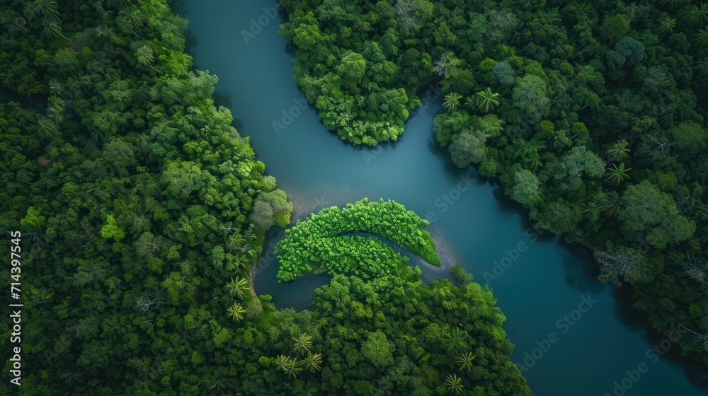  an aerial view of a river in the middle of a forest with trees on both sides of the river and a green area on the other side of the river.