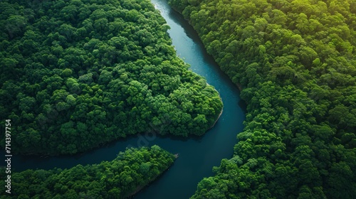 an aerial view of a river in the middle of a green forest with a river running through the center of the forest, surrounded by lush green, leafy trees.