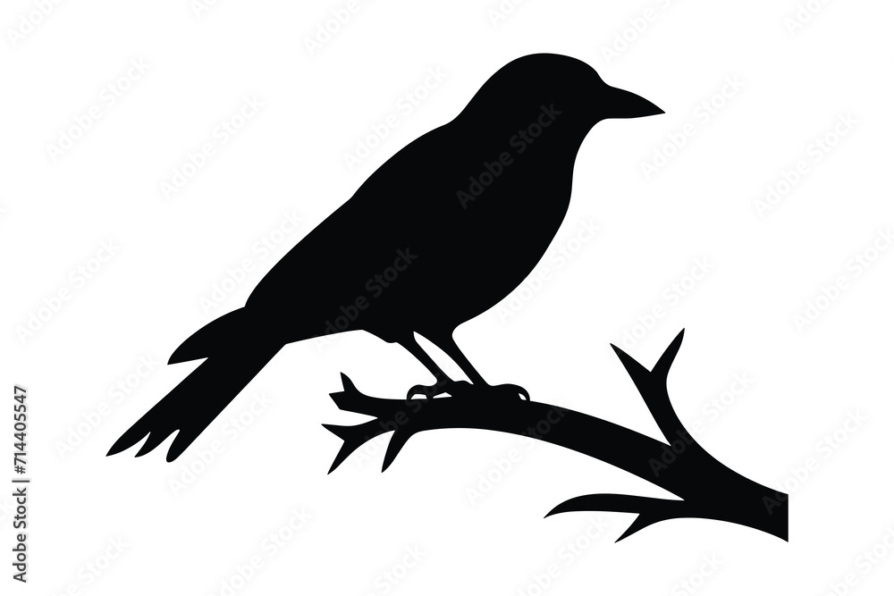 Bird Tree Silhouette Vector Images Bird Tree Silhouette Vector Images