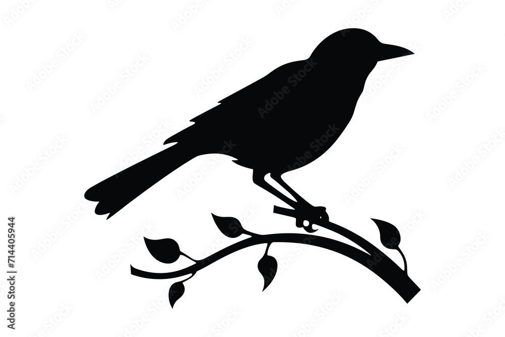 Bird Tree Silhouette Vector Images Bird Tree Silhouette Vector Images