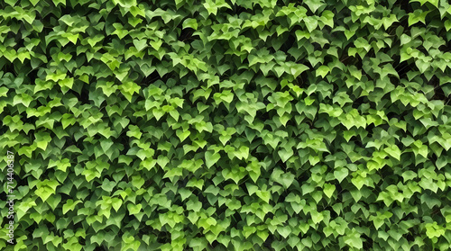 Wallpaper Mural Green Tapestry: Small Leaves Weaving a Hedge Wall Texture Torontodigital.ca