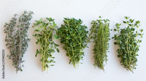  a row of different types of herbs on a white surface with green leaves and sprouts on each side of the row, all of which are arranged in a single row.