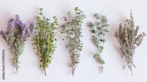  a group of different types of flowers on a white surface with green leaves and purple flowers on each side of the flowers, and a white background with green leaves and purple flowers. photo