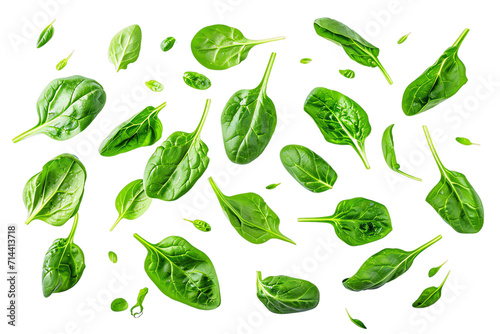 basil leaves Set with Isolated transparent Background, Featuring Leafy Nature Elements in a Vector Illustration, Ideal for Eco-Friendly Designs and Organic Concepts