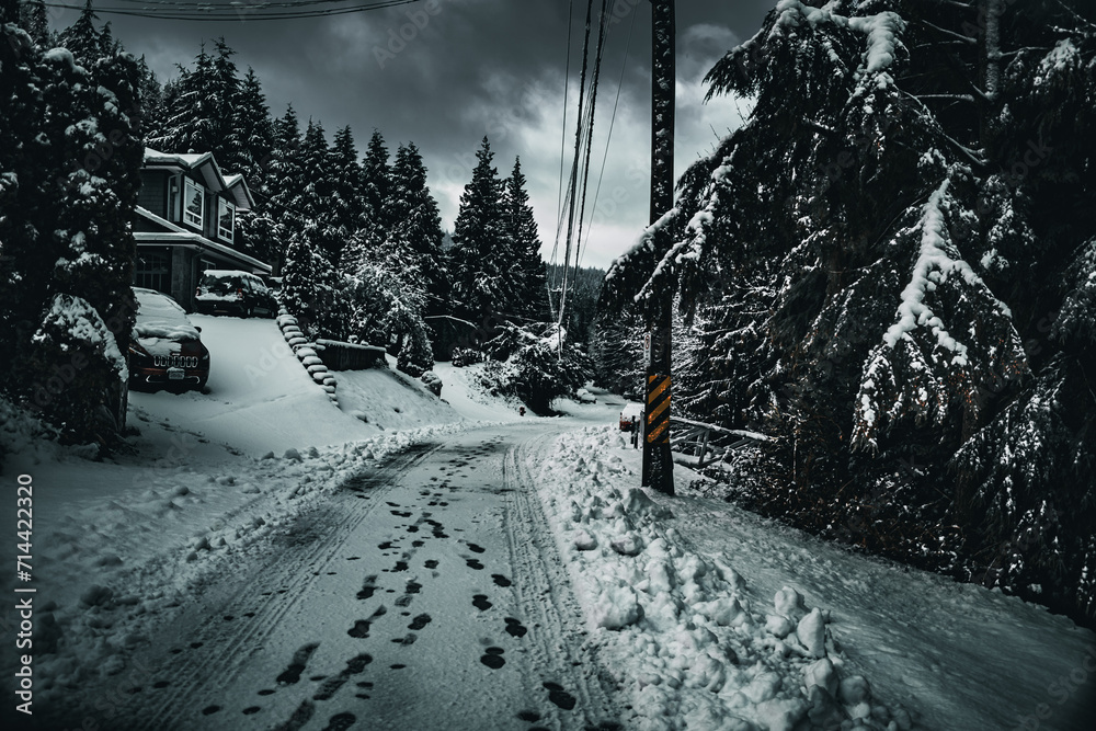 Obraz premium Black and White Vancouver Canada