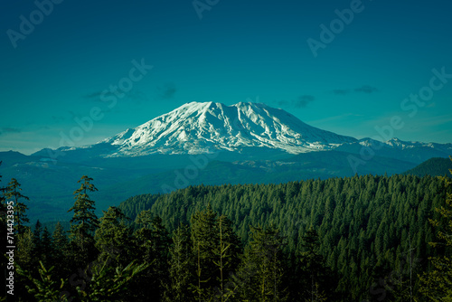 Volcanic Majesty: The Stature of St. Helens photo