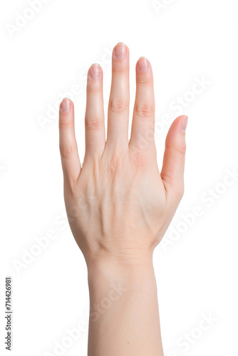 Human white hand isolated on transparent background