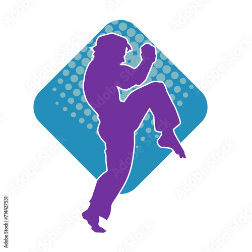 Silhouette of a male doing martial art kick pose. Silhouette of a martial art male doing kicking pose.