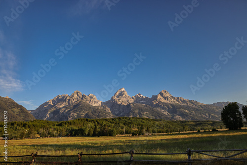 Grand Tetons and a Meadow