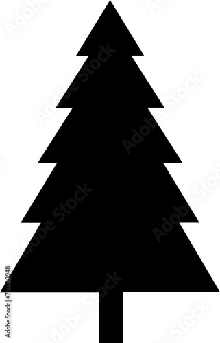 Pine, Christmas Tree