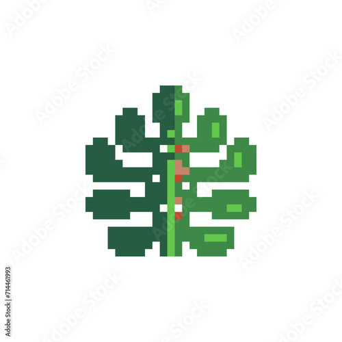 Leaf monstera pixel art icon, green plant logo. Isolated vector illustration. Game assets 8-bit sprite. Design for stickers,  web, mobile app.  © thepolovinkin