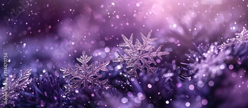 Purple winter background with reflecting snowflakes.