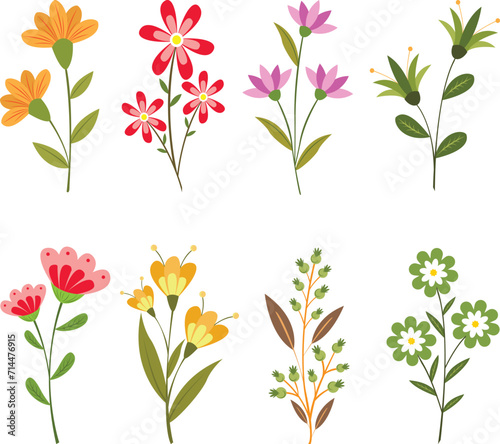 lower, nature, vector, floral, summer, plant, illustration, flowers, spring, rose, bouquet, design, leaf, pink, blossom, poppy, set, art, bloom, garden, red, beauty, flora, decoration, pattern