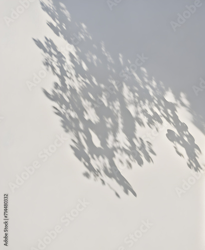 afternoon-sunshine-casting-soft-shadows-against-colorless-texture-laden-walls-minimalistic