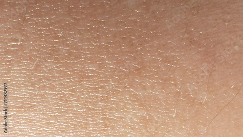 Intricate arm skin, captured macroscopically, reveals a mesmerizing tapestry of textures - the supple contours of pores, the delicate dance of hair follicles. 4K.
 photo
