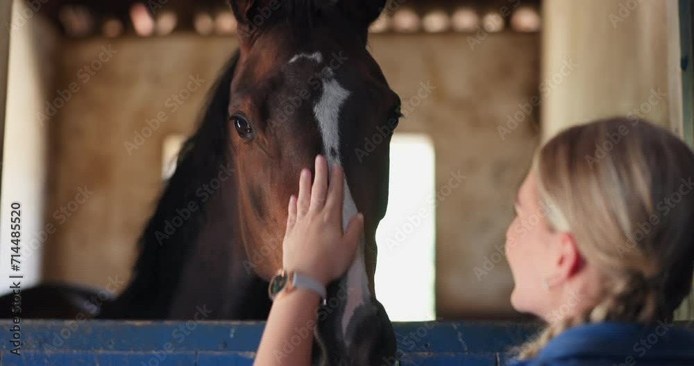 Woman, stable and horse farm with stroke, care and love for health, growth and development for pet in countryside. Farmer, equine animal or pony with touch, agriculture and relax at ranch in Texas