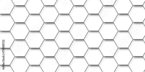Abstract background with white hexagons and seamless pattern in vector design . luxury white pattern geometric mesh cell texture .hexagon 3d background texture design .