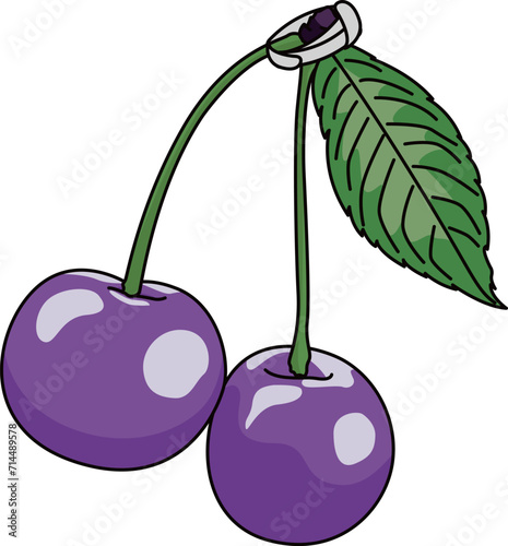 さくらんぼ（Cherry）(eps)