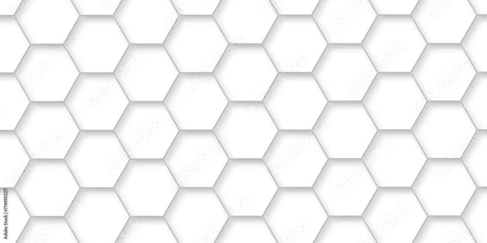 Abstract background with white hexagons and seamless pattern in vector design . luxury white pattern geometric mesh cell texture .hexagon 3d background texture design . Abstract background with white hexagons and seamless pattern in vector design . luxury white pattern geometric mesh cell texture .hexagon 3d background texture design .