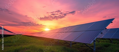 Sunset solar farm with pink sky representing energy and nature. © 2rogan