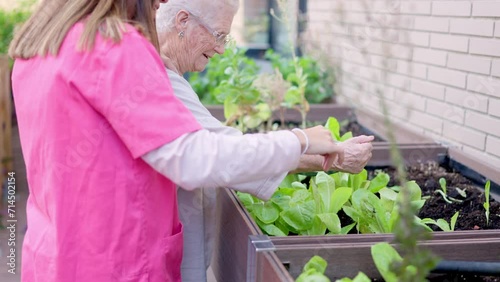 Nurse and woman seedling in a garden in a geriatric