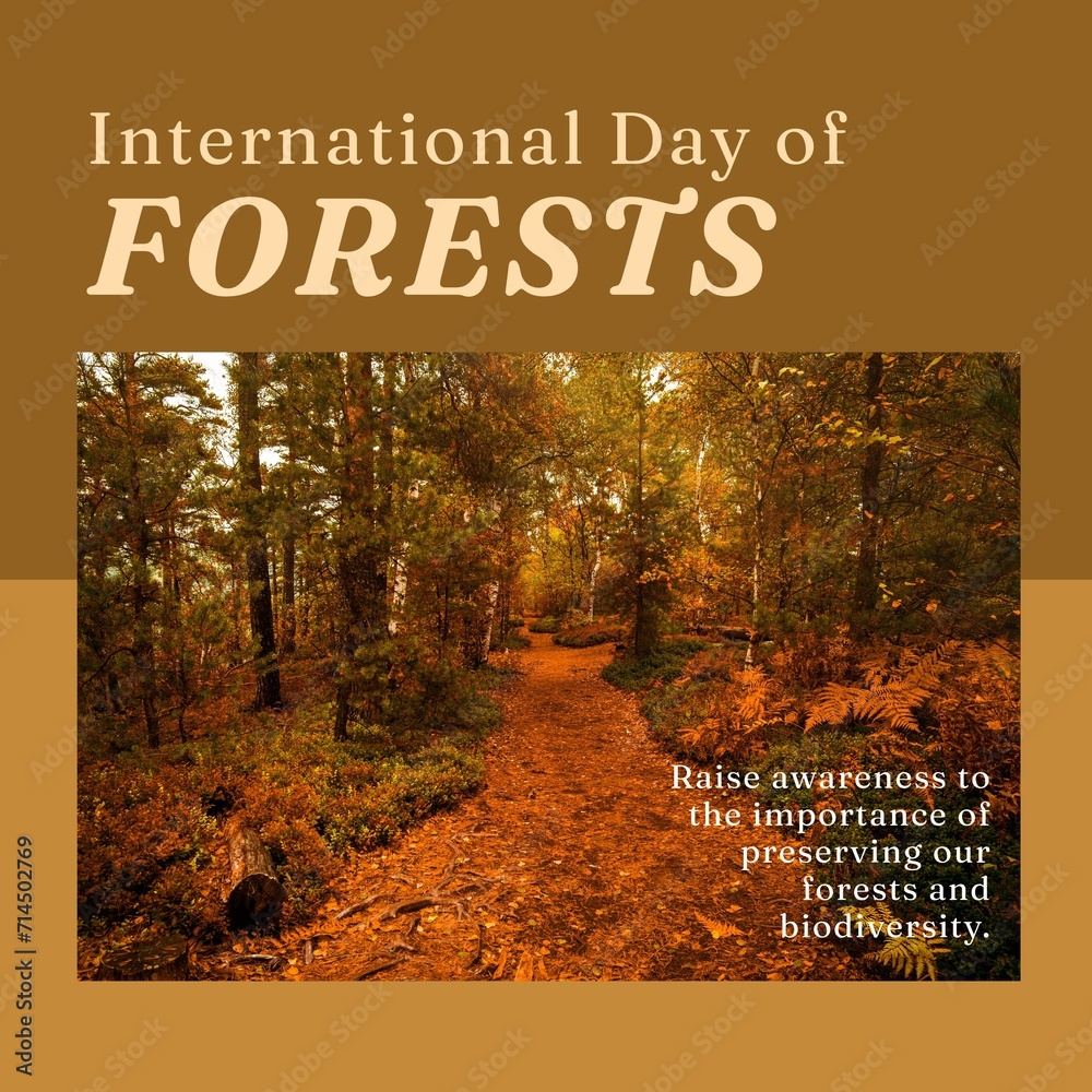 Fototapeta premium Composition of international day of forests text over forest on brown background