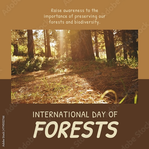 Composition of international day of forests text over forest on brown background