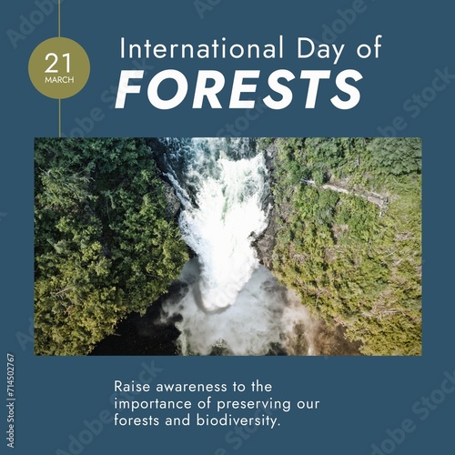 Composition of international day of forests text over forest on blue background