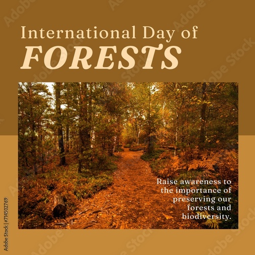Composition of international day of forests text over forest on brown background