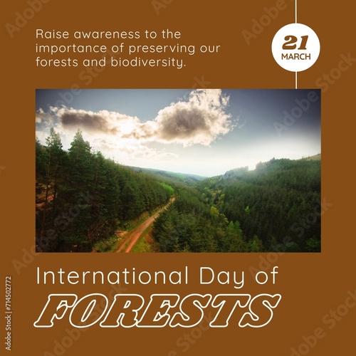 Composition of international day of forests text over sky with clouds on brown background