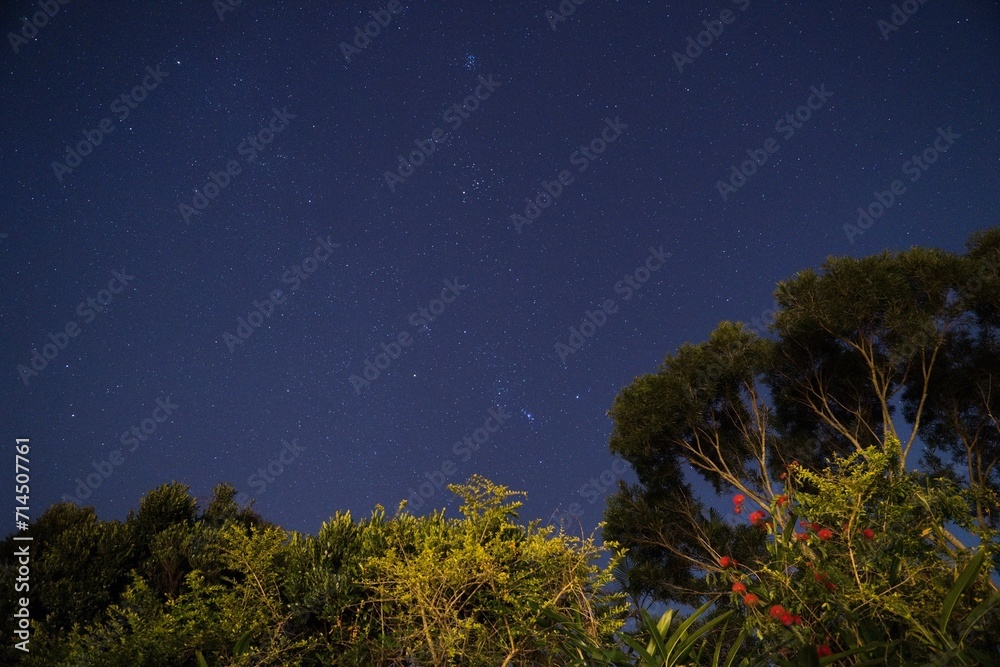 Fototapeta premium 星の軌跡