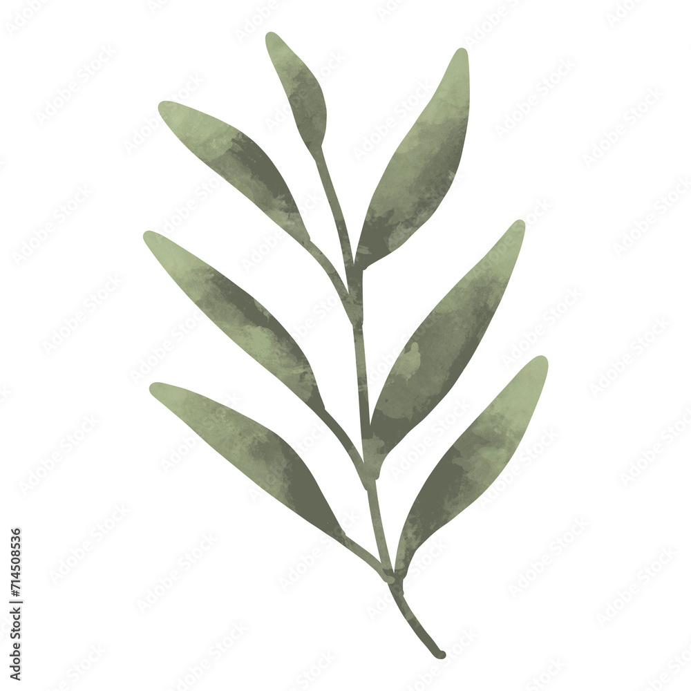 Green leaf watercolor summer illustration Green leaf watercolor summer illustration