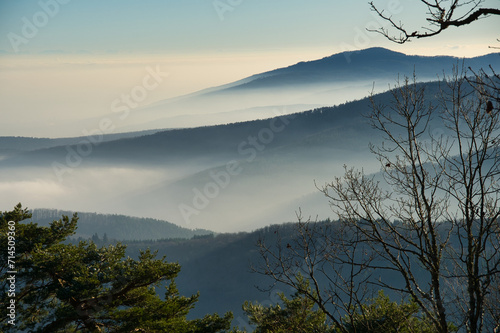 Winterliche Nebelstimmung in den Vogesen