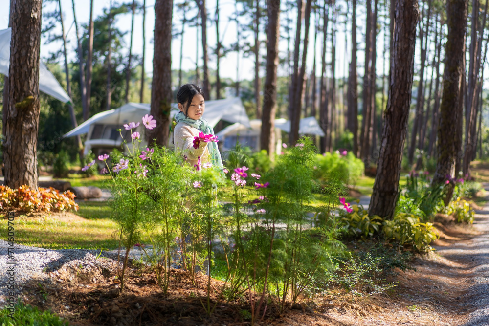 Asian child or kid girl travel camping looking pink blooming flowers with campervan or RV motorhome in nature trees garden or forest and wearing scarf on holiday vacation at Doi Bo Luang Forest Park Asian child or kid girl travel camping looking pink blooming flowers with campervan or RV motorhome in nature trees garden or forest and wearing scarf on holiday vacation at Doi Bo Luang Forest Park