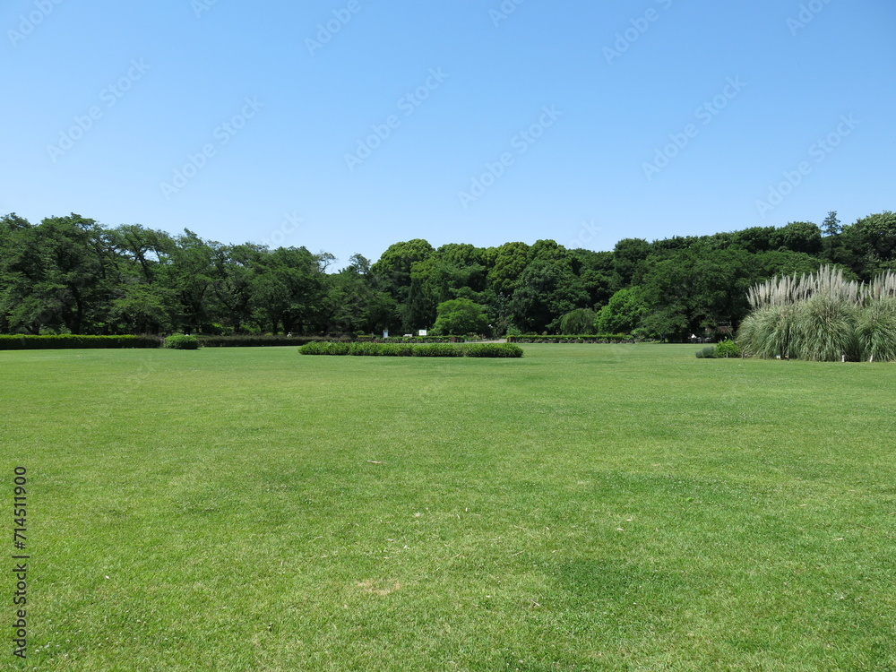 神代植物公園の芝生広場