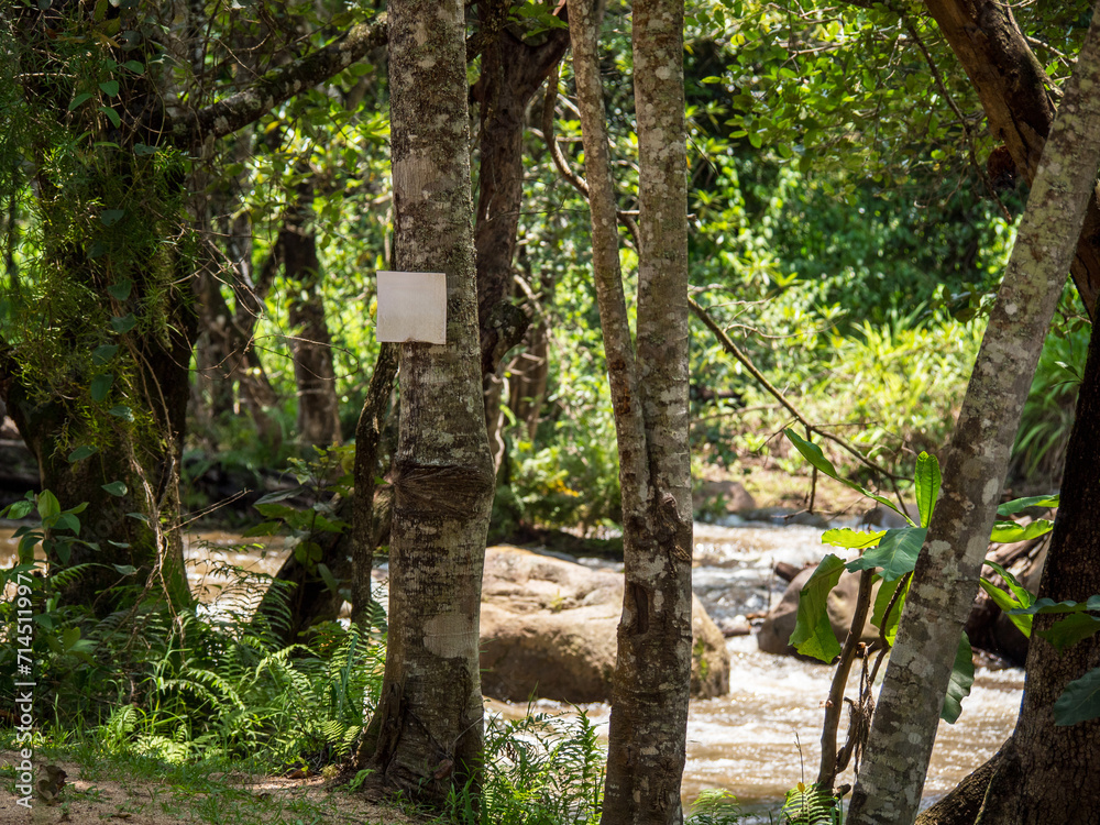 Pancarte carré vierge accroché sur un arbre au bord d'une rivière Pancarte carré vierge accroché sur un arbre au bord d'une rivière
