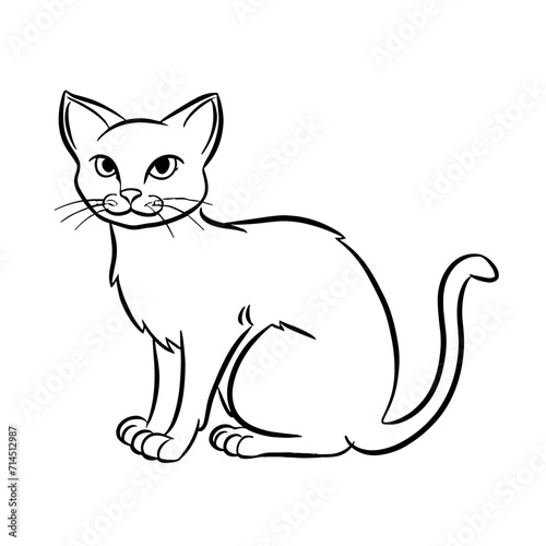 Fototapeta Naklejka Na Ścianę i Meble -  black and white cat