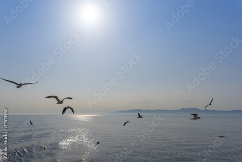 美しい青い海空に映えるカモメ(野鳥)シルエット風
Seagull (wild bird) silhouette style that shines in the beautiful blue sea sky
日本(春)
Japan (spring)
九州・(長崎県・熊本県)有明海
Kyushu/(Nagasaki Prefecture/Kumamoto Prefecture) Ariake Sea photo