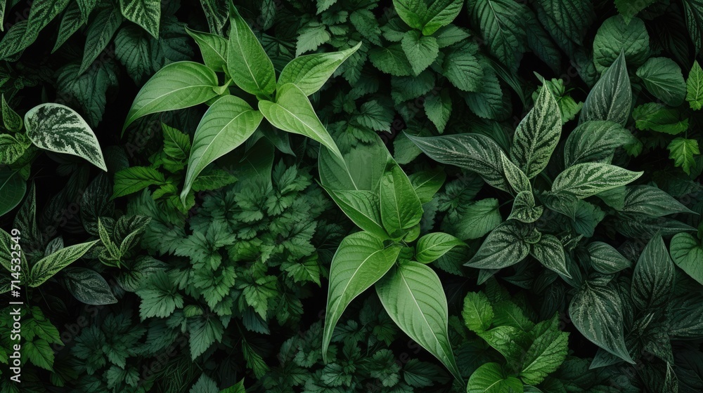 A lush full frame of green plants in their natural habitat, Ai Generated. A lush full frame of green plants in their natural habitat, Ai Generated.