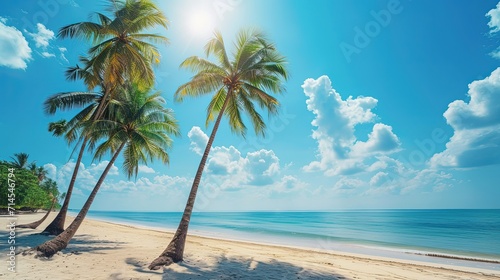 Coconut palm trees on the beach with blue sky and clouds on background. Vacation in a tropical paradise. Space for text.