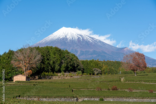 冬の大淵笹場と雪化粧の富士山の風景