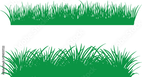 green grass isolated on white