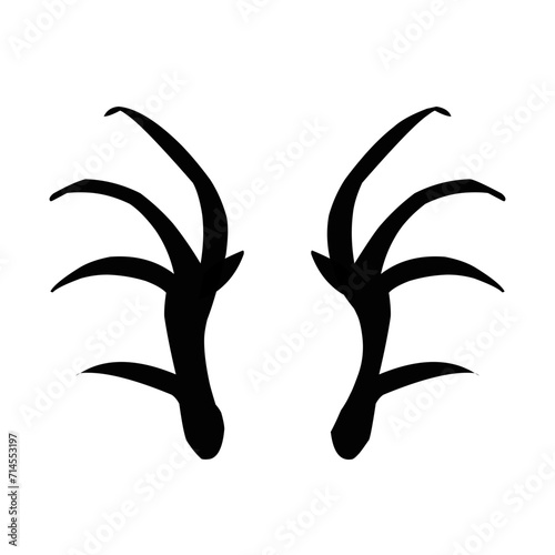 Dragon Wings Bones 