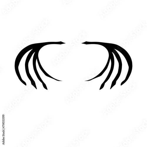 Dragon Wings Bones 