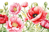 red poppies watercolor on white background, valentines day concept