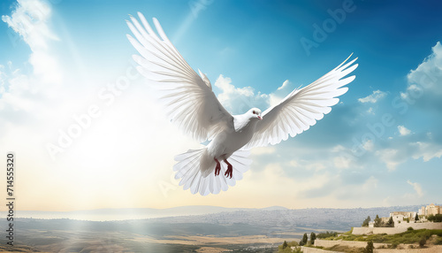 Peaceful Israeli dove on blue sky background