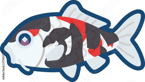 かわいいニシキゴイ（昭和三色）のイラスト