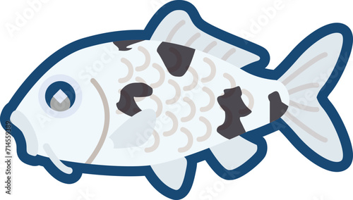 かわいいニシキゴイ（白べっ甲）のイラスト